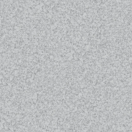 FL-S304